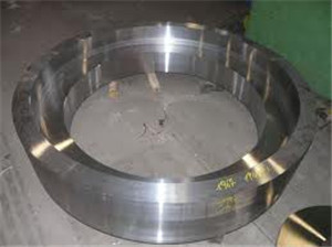 Nickel Alloy Steel ASTM B564  UNS N02200 Girth Flange