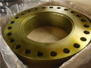 Stainless Steel ASTM A182 F316H /316L/316N Girth Flange
