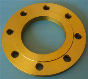 Stainless Steel ASTM A182 F55  Girth  Flange