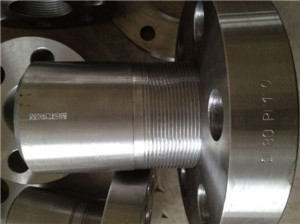 ASTM A182 F304  Threaded Flange